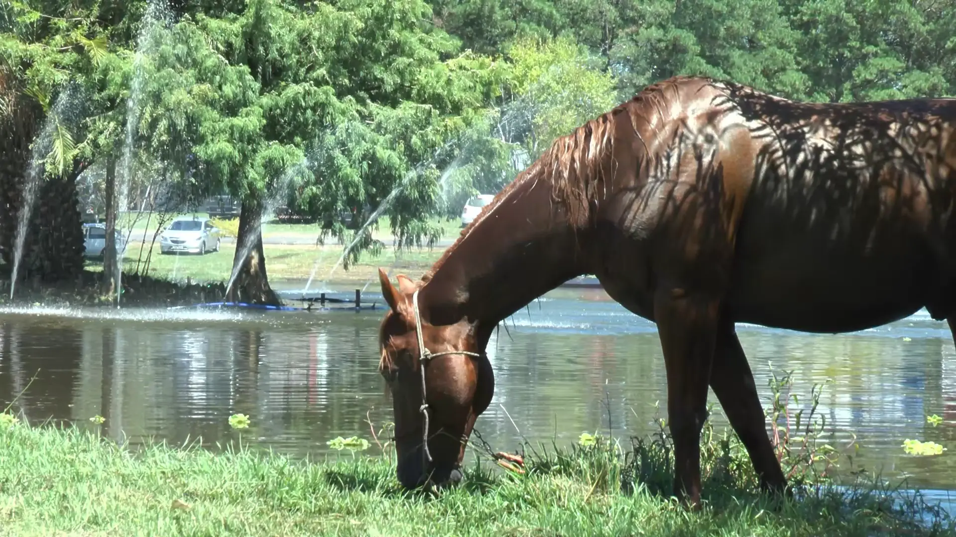 Conectar con nuestra naturaleza