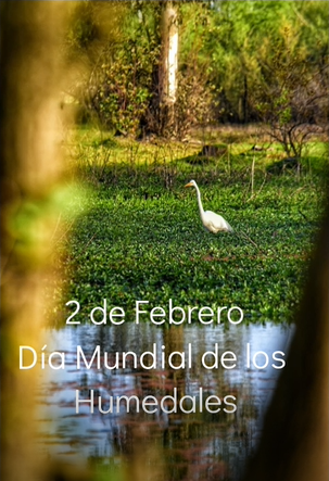 2 febrero humedales
