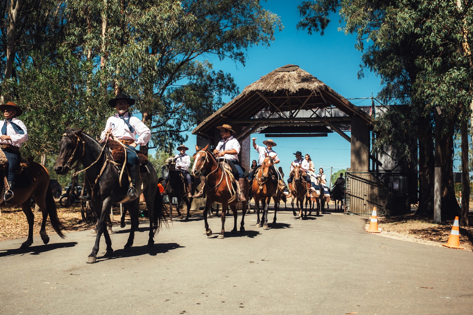 Al grito de “¡Viva la Patria!”, más de 1.500 jinetes y carruajes desfilaron por la ciudad