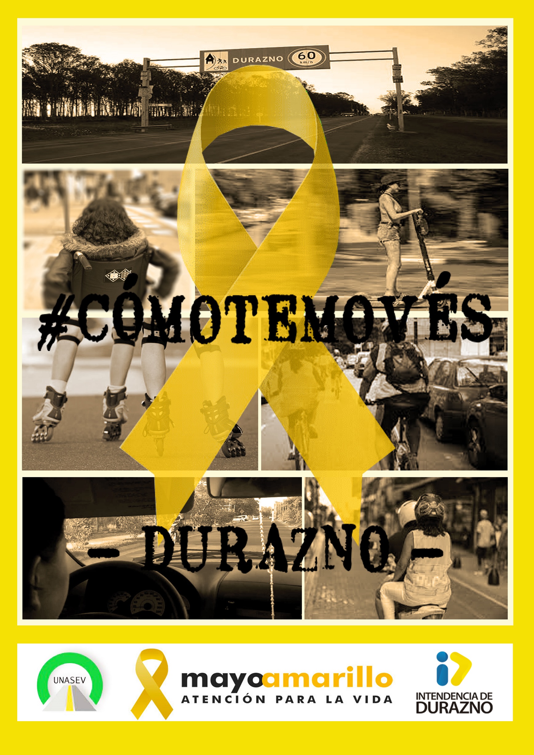 IDD MAYO AMARILLO 1
