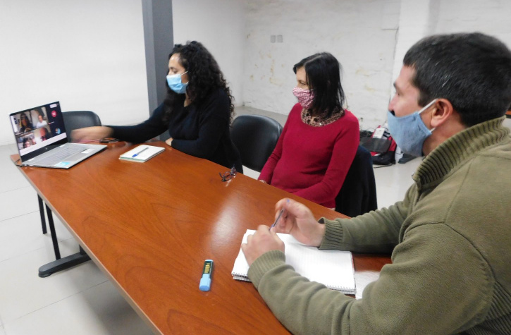 reunion videoconferencia covid19