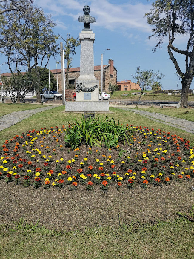 Reposicion de plantas y enjardinados en plazas 7