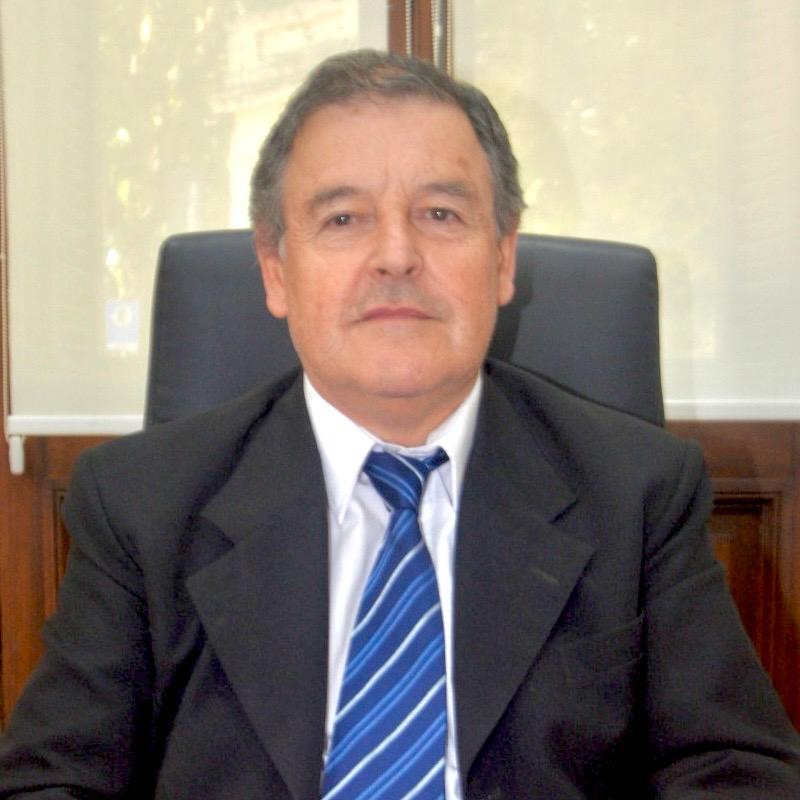 Domingo Rielli