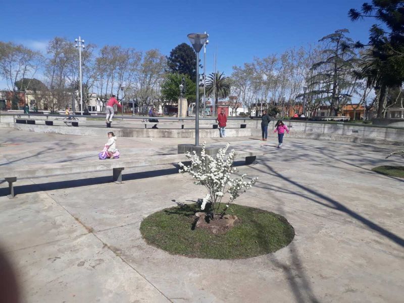 mejoras en plaza artigas  prensa idd  