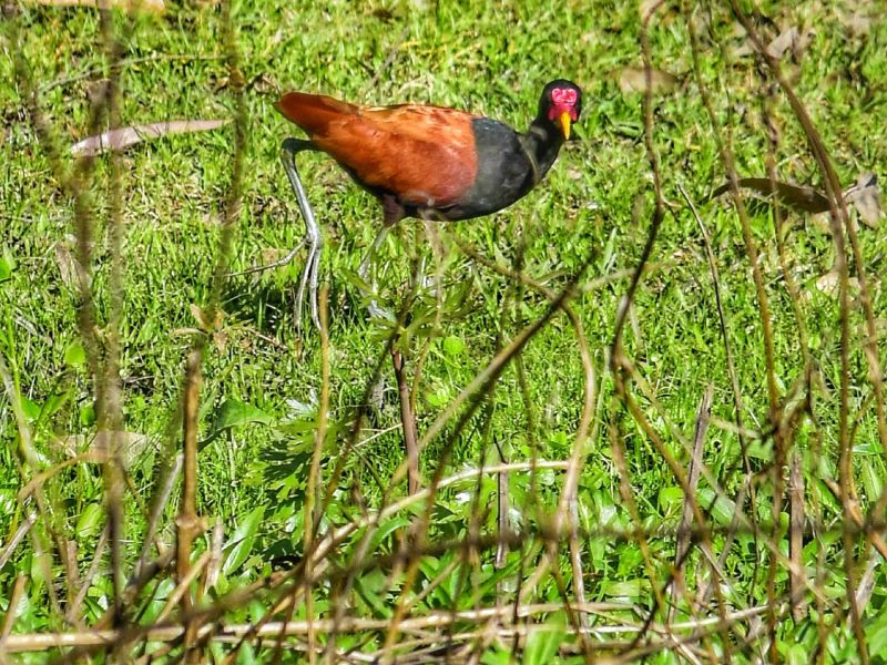 119857854 3423534677694109 o 119857854 3423534677694109 o