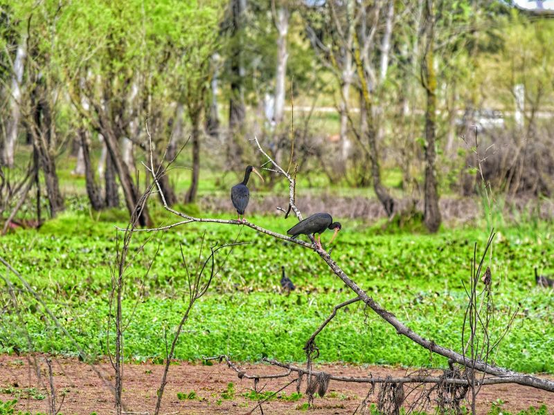 120140965 3449460568434853 o 120140965 3449460568434853 o