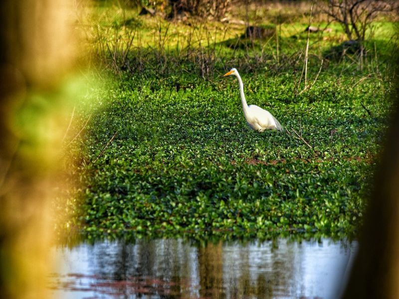 121141510 3495593640488212 o 121141510 3495593640488212 o