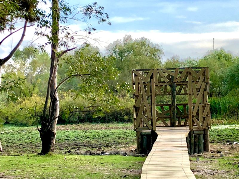 avistamineto de aves avistamineto de aves