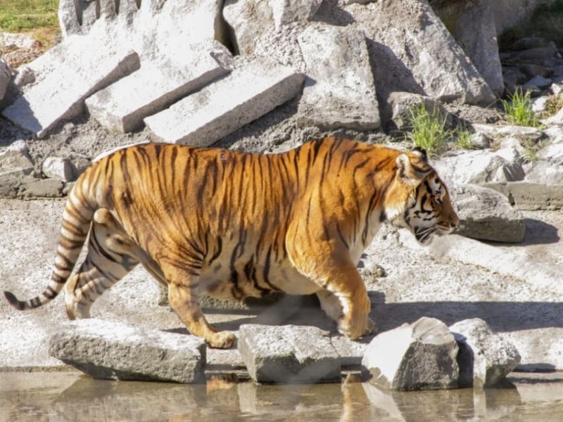 25  5abf3b20 f2c4 4cdb757ae98c605110 25  5abf3b20 f2c4 4cdb757ae98c605110