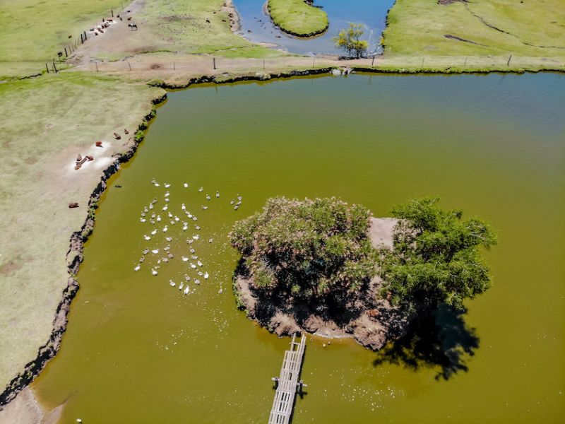 34  bioparquedurazno 2019