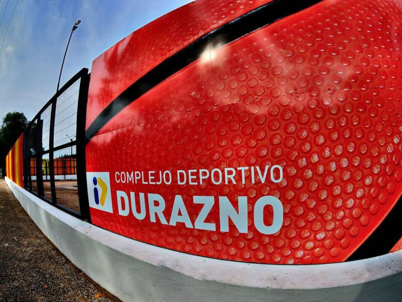 dsc dsc
