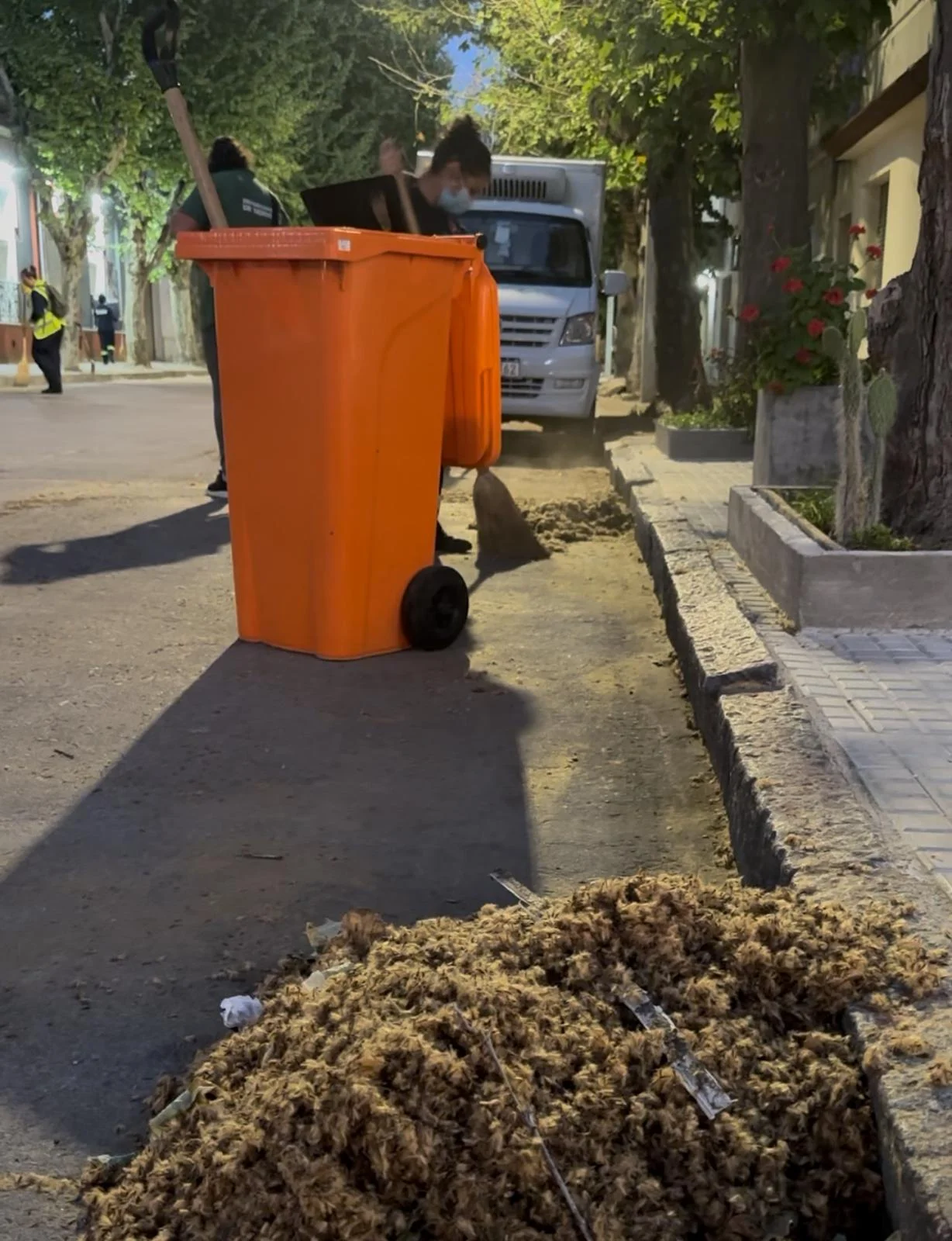 Intervención para reducir molestias por la “pelusa” de los plátanos