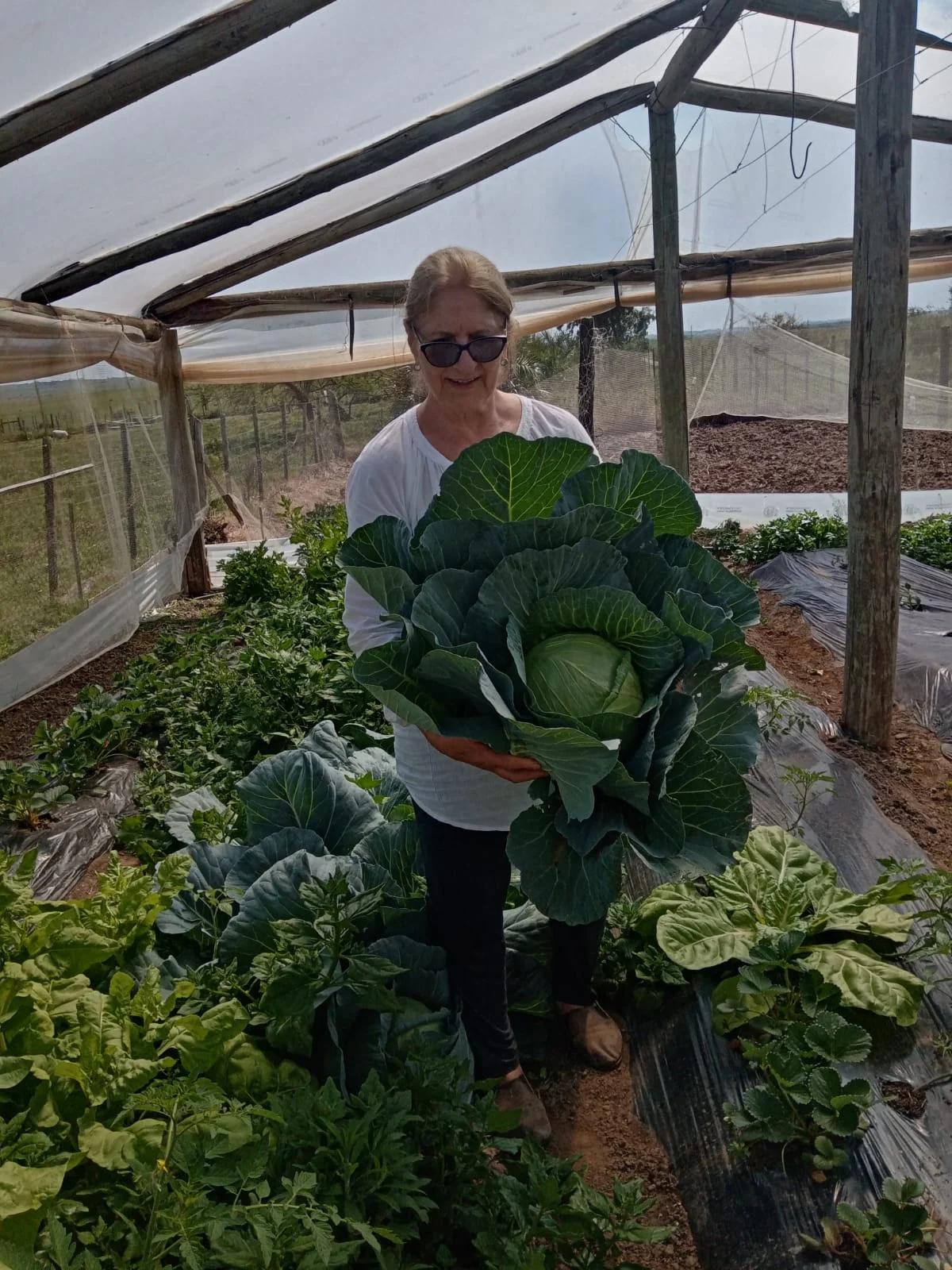 Apoyo a Huertas Familiares en Cuchilla Ramírez