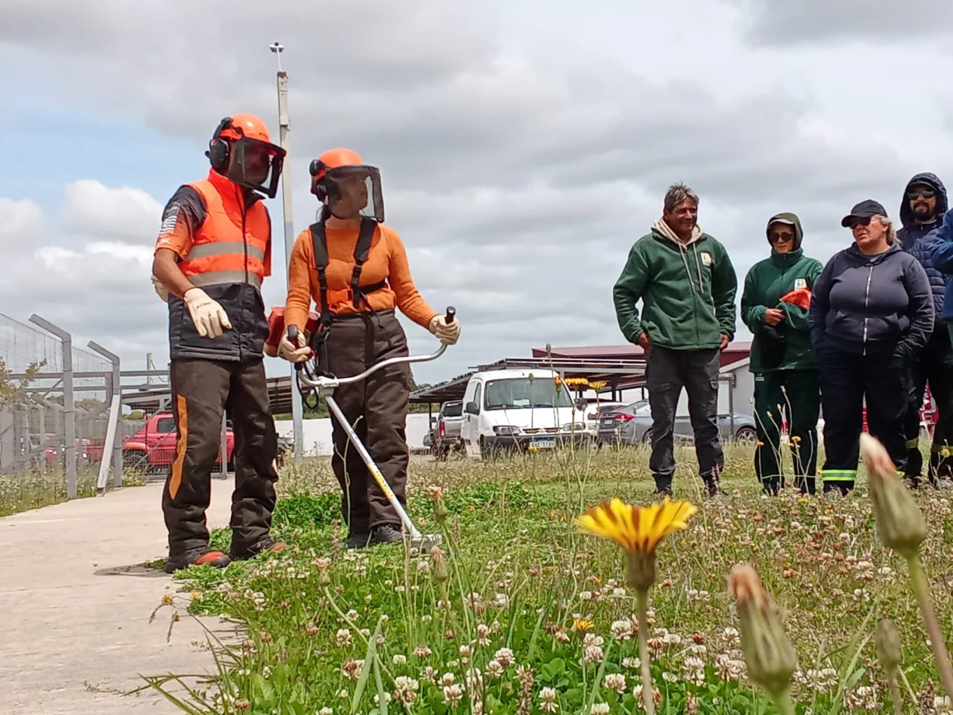 Capacitación especializada: optimización del manejo de bordeadoras y desmalezadoras por trabajadores del Departamento de Servicios