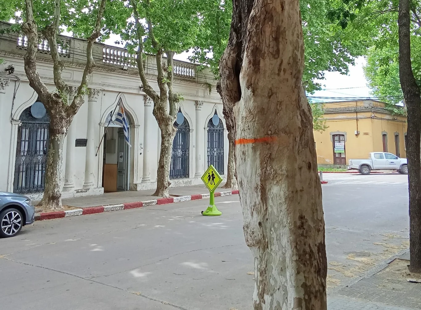 Avanza el Plan de Arbolado en Durazno