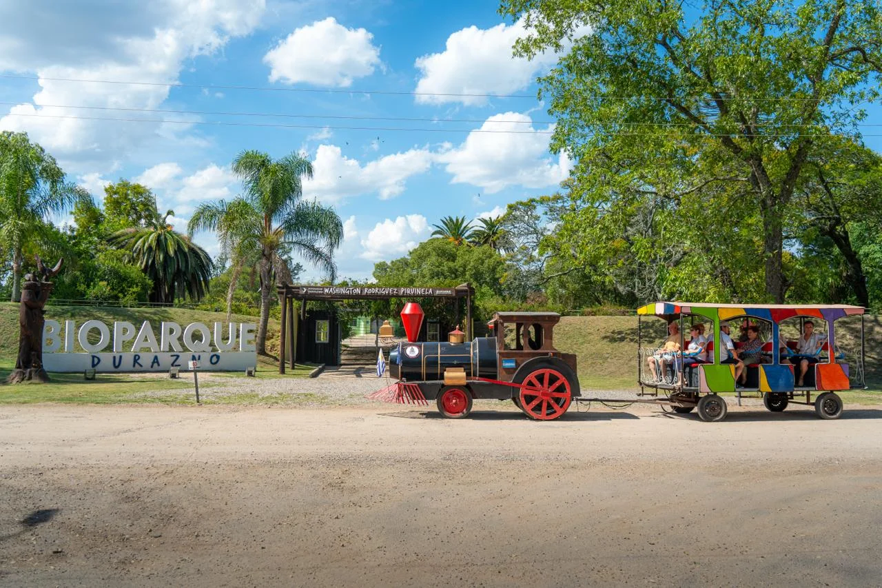 El Bioparque abrirá todos los días en Semana de Turismo y destinará la recaudación al Club Ferrocarril Oeste