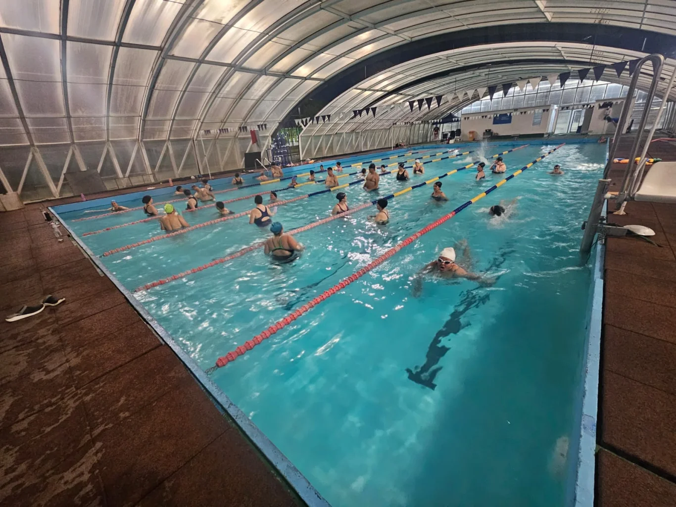 Horario exclusivo en Piscina de Complejo Deportivo: Hidrogimnasia y Nado Adolescente